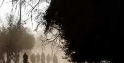 الجيش.webp