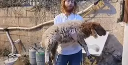 مستوطنين