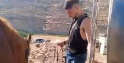مستوطنون الظاهرية