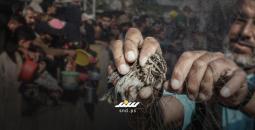 صيد العصافير