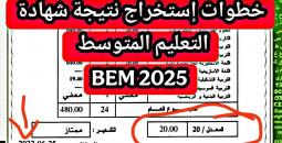 كل ما تحتاج معرفته للاستعلام عن نتيجتك