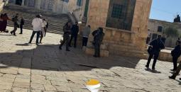 مستوطنون يقتحمون الأقصى (3).jpg