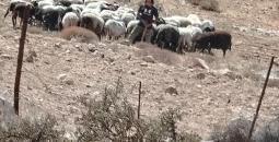 مستوطنون اعتداء