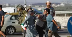 مستوطنون يعتدون على مسن فلسطيني بحماية قوات الاحتلال.webp