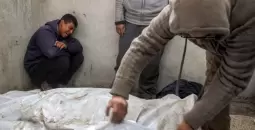 شهداء