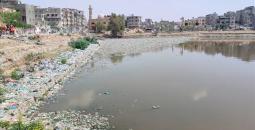 بركة الشيخ رضوان