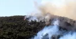 حرائق سوريا