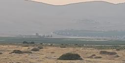 بردلة