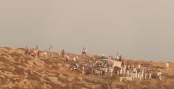 مستوطنون بمسافر يطا