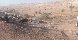 مستوطنون