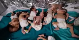 حرب غزة الأطفال الخدج