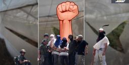 تقرير الاستيطان في بيت دجن