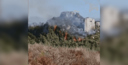 حريق سوريا