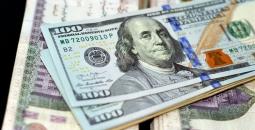 استقرار سعر الدولار في مصر خلال عطلة البنوك