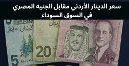 سعر صرف الدينار الأردني مقابل الجنيه المصري: تحليل وتوقعات