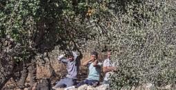 احتجاز شبان في نحالين