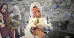 الحيوانات الأليفة في الإبادة