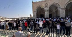 الصلاة في الأقصى