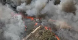 اللاذقية