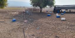 مستوطنون سرقوا معدات حظيرة ماشية في الأغوار