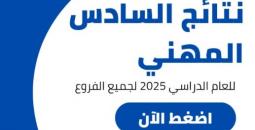 نتائج السادس المهني 2025 PDF