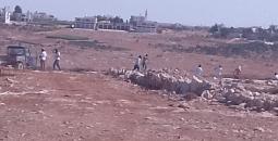مستوطنون يهاجمون المواطنين قرب بيت لحم