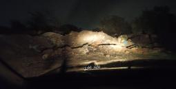 مستوطنون يغلقون الطريق بين خلة السدرة ومخماس شرق القدس