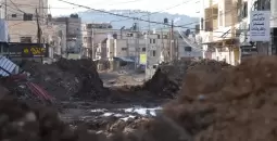 جنين