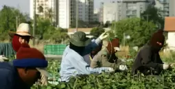 العمال التايلانديين