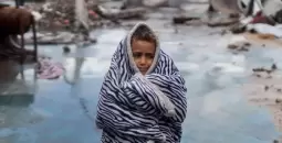 غزة.webp