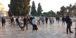 مستوطنون يقتحمون المسجد الأقصى  (1).jpeg