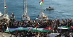 أسطول الصمود
