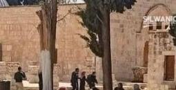 اعتقال فتاة من المسجد الأقصى.jpg