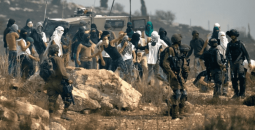 الاحتلال والمستوطنين