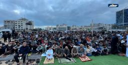 سرايا.jpg