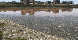 بركة الشيخ رضوان