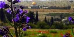 ربيع القدس.jpg