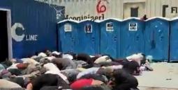 متضامنون أجانب