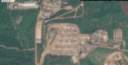 image.gif