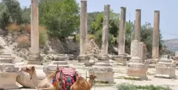سبسطية