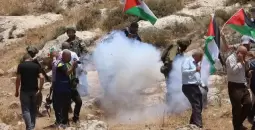 النكبة