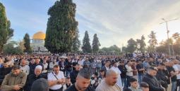 الأقصى (3).jpg