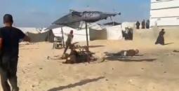 شهداء في خانيونس