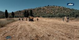 سنجل.jpg