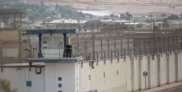 سجن النقب.webp