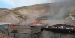 الأغوار