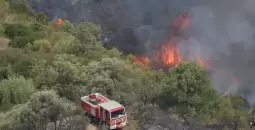 حريق الجزائر