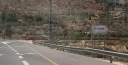 سنجل.webp