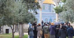 صورة أرشيفية.jpg