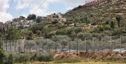 سنجل.jpg